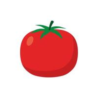 Tomato isolated single simple cartoon illustration. vegetable organic eco bio product from the farm vector illustration. Tomato flat design object for vegetarian design