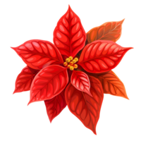 AI generated Poinsettia flower png isolated on transparent background