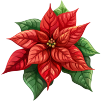 AI generated Poinsettia flower png isolated on transparent background