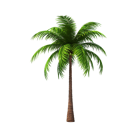 AI generated Palm tree isolated on transparent background png