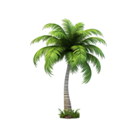 AI generated Palm tree isolated on transparent background png