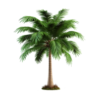 AI generated Palm tree isolated on transparent background png