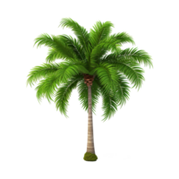 AI generated Palm tree isolated on transparent background png