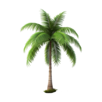 AI generated Palm tree isolated on transparent background png