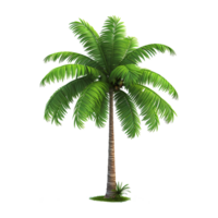 AI generated Palm tree isolated on transparent background png