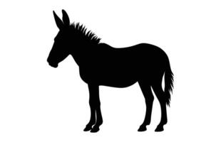 Burro silueta vector aislado en un blanco antecedentes