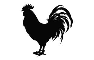 Rooster Silhouette isolated on a white background, Cock Rooster black vector