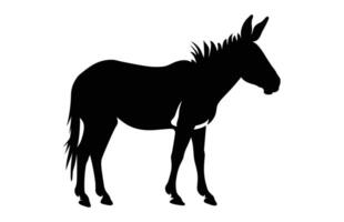 Burro silueta vector aislado en un blanco antecedentes