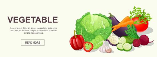 Vegetable horizontal web banner. Cabbage, pepper, garlic, cucumber, beet, carrot, tomato, eggplant, healthy fresh farm food. Vector illustration for header website, cover templates in modern design