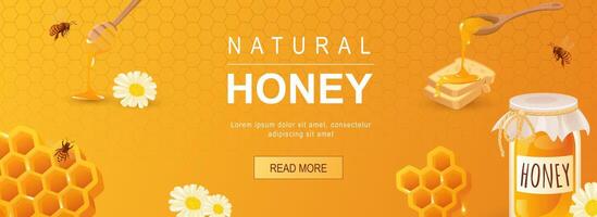 Natural honey horizontal web banner. Honey jar, breads, honeycomb, bee, chamomile, organic healthy food and sweet product. Vector illustration for header website, cover templates in modern design