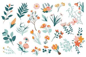 verano flores mega conjunto elementos en plano diseño. haz de diferente tipos de floreciente flores, prado flores silvestres, plantas, ramas con hojas y leña menuda. vector ilustración aislado gráfico objetos