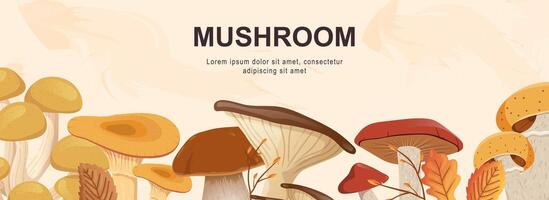 Mushrooms horizontal web banner. Cep, boletus, chanterelle, honey agaric, champignon, russule and other autumn forest harvest. Vector illustration for header website, cover templates in modern design