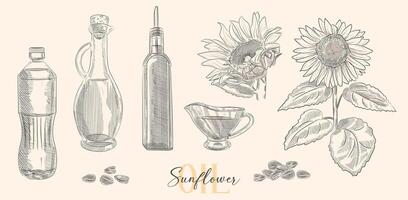 Vector collection of hand drawn bottle, sunflower and seed illustrations. Vintage set of oil and sunflower flower illustrations. Decorative engraved sketch of oil - sunflower oil.