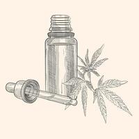Vector hand drawn hand drawn bottle with pipette for hemp oil. Isolated on white background