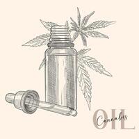 Hand drawn composition of bottle, dropper and marijuana leaf. Isolated sketch of marijuana. Vector art.