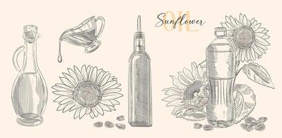 Bottle of sunflower oil with flower and heap of seed. Vector Hand drawn illustration. Glass pitcher vintage engraving isolated on white background. Great for menu, banner, label, logo, flyer