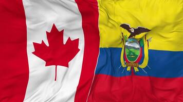 Canada e ecuador bandiere insieme senza soluzione di continuità looping sfondo, loop urto struttura stoffa agitando lento movimento, 3d interpretazione video