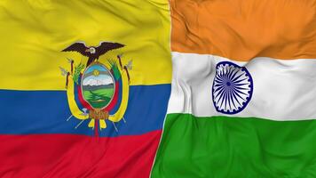 India e ecuador bandiere insieme senza soluzione di continuità looping sfondo, loop urto struttura stoffa agitando lento movimento, 3d interpretazione video