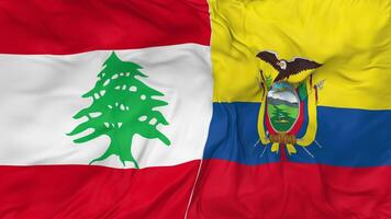 Lebanon and Ecuador Flags Together Seamless Looping Background, Looped Bump Texture Cloth Waving Slow Motion, 3D Rendering video