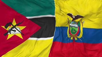 Mozambique and Ecuador Flags Together Seamless Looping Background, Looped Bump Texture Cloth Waving Slow Motion, 3D Rendering video