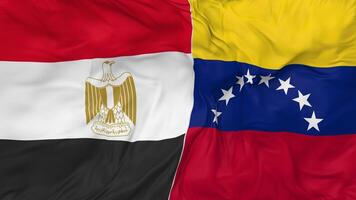 Egypt and Bolivarian Republic of Venezuela Flags Together Seamless Looping Background, Looped Bump Texture Cloth Waving Slow Motion, 3D Rendering video