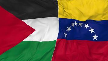 Palestina e bolivariano república do Venezuela bandeiras juntos desatado looping fundo, em loop colisão textura pano acenando lento movimento, 3d Renderização video