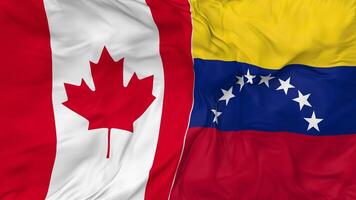 Canadá y bolivariano república de Venezuela banderas juntos sin costura bucle fondo, serpenteado bache textura paño ondulación lento movimiento, 3d representación video