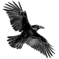 AI generated Flying Raven isolated on transparent background png