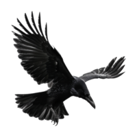 AI generated Flying Raven isolated on transparent background png