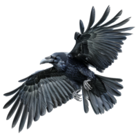 AI generated Flying Raven isolated on transparent background png