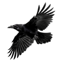 AI generated Flying Raven isolated on transparent background png