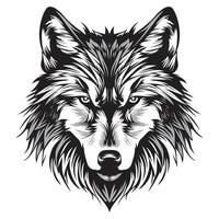 Wolf Vector illustration