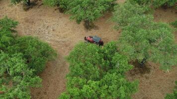 Cork Tractor Harvest in Portugal 4K video