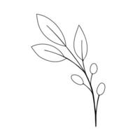 Foliage line art design for wedding, card, invitation, greeting vector