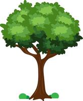 dibujos animados arboles aislado en un blanco antecedentes. sencillo moderno estilo. linda verde plantas, bosque. lata ser usado a ilustrar ninguna naturaleza o sano estilo de vida tema. plano estilo vector ilustración.