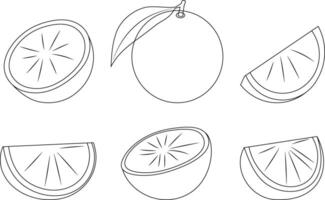 Orange vector doodle elements and lettering set, orange hand drawn outline of whole fruit, oranges on a branch, cut orange, black line art.