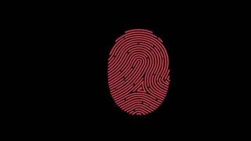 fingerprint thumbprint icon concept animation with alpha channel video
