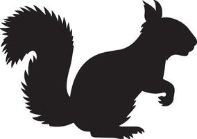 Squirrel Silhouette Vector Illustration White Background