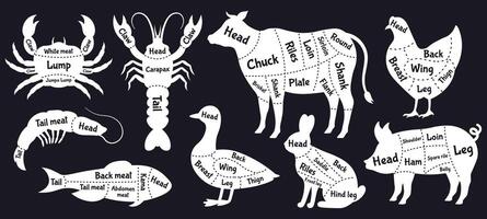 Butcher guide. Meat cuts scheme, beef, chicken, fish and shrimp silhouette, meat cutting lines. Butcher shop meat cuts scheme vector illustration set