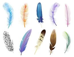 Realistic 3d feathers. Birds colored falling fluffy feathers, floating bird soft plumage feathers isolated vector icons set