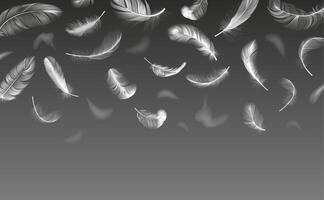 Falling feathers. Realistic twirled fluffy feathers, white fluffy angel wings feather flow, floating bird plumage vector background illustration