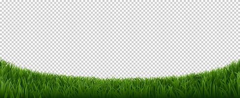 Realistic grass border. Green herb lawn, garden herb plants frame, fresh lawn border element vector background