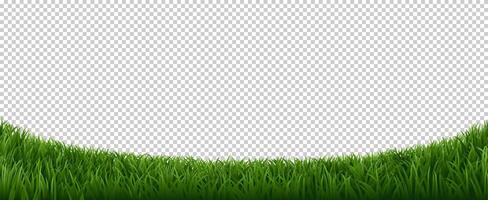 Realistic grass border. Green herb lawn, garden herb plants frame, fresh lawn border element vector background