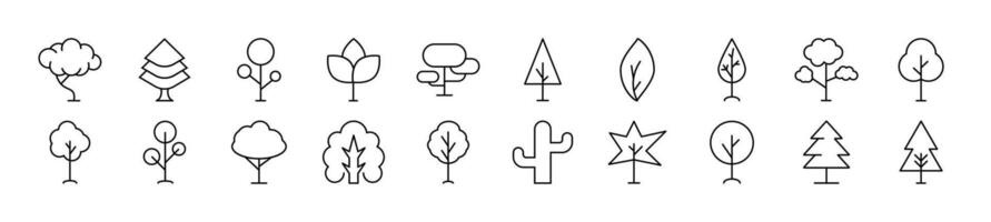 Collection of thin vector images of deciduous and conifers. Editable stroke. Simple line icon for web sites, newspapers, articles book