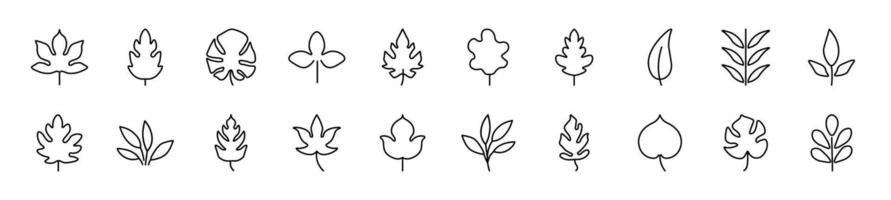 Leaf Line Icons collection. Editable stroke. Simple linear illustration for web sites, newspapers, articles book vector