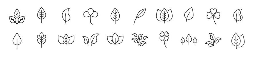 Collection of outline symbol of leaf. Editable stroke. Simple linear illustration for stores, shops, banners, design vector