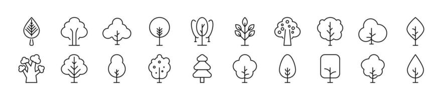 Pack of thin signs of Tree. Editable stroke. Simple linear illustration for stores, shops, banners, design vector