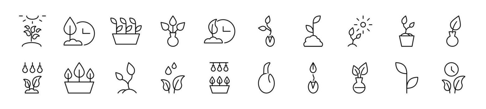 Vector images of gardening drawn with thin line. Editable stroke. Simple linear illustration for web sites, newspapers, articles book