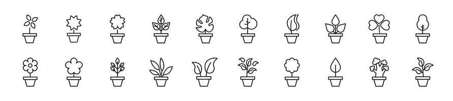 Collection of thin signs of pot plant. Editable stroke. Simple linear illustration for stores, shops, banners, design vector