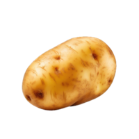 AI generated Potato Studio Shot Isolated on Transparent Background, Food Photography png